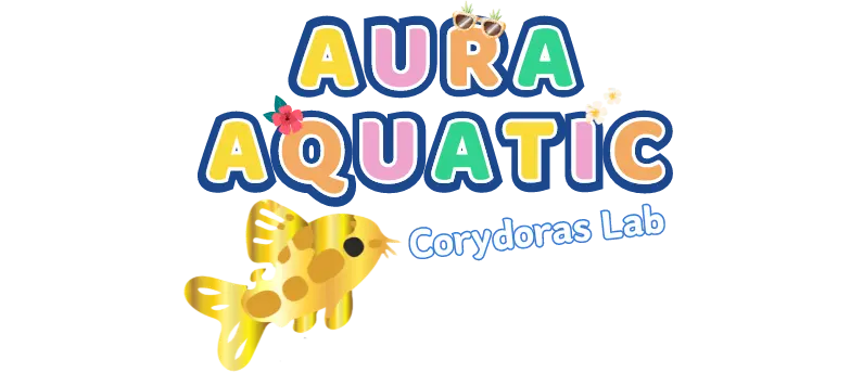 Aura Aquatic – Cá Cảnh & Thuỷ Sinh Aura